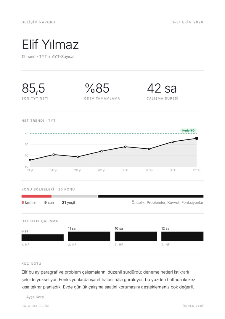 Minimal veli raporu şablonu örneği